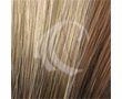 Amara Wig by Rene of Paris | Synthetic
