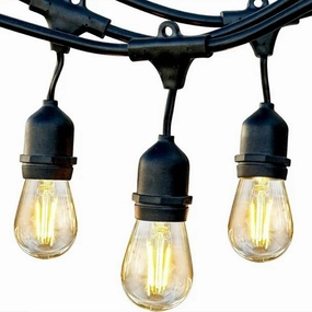 Brightech Ambience Pro Edison Black LED Waterproof Outdoor String Lights, 48 Ft.