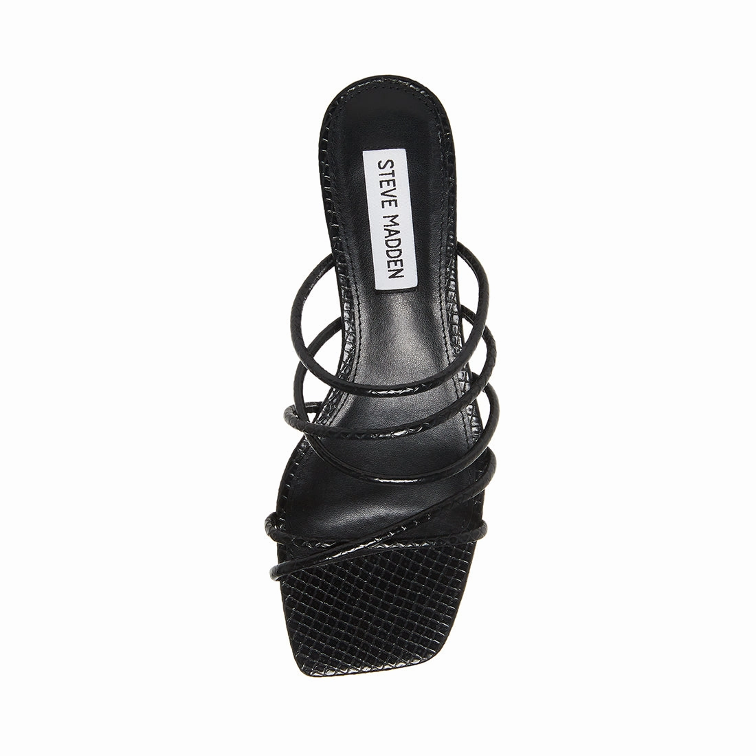 PAIGE BLACK SNAKE - SM REBOOTED