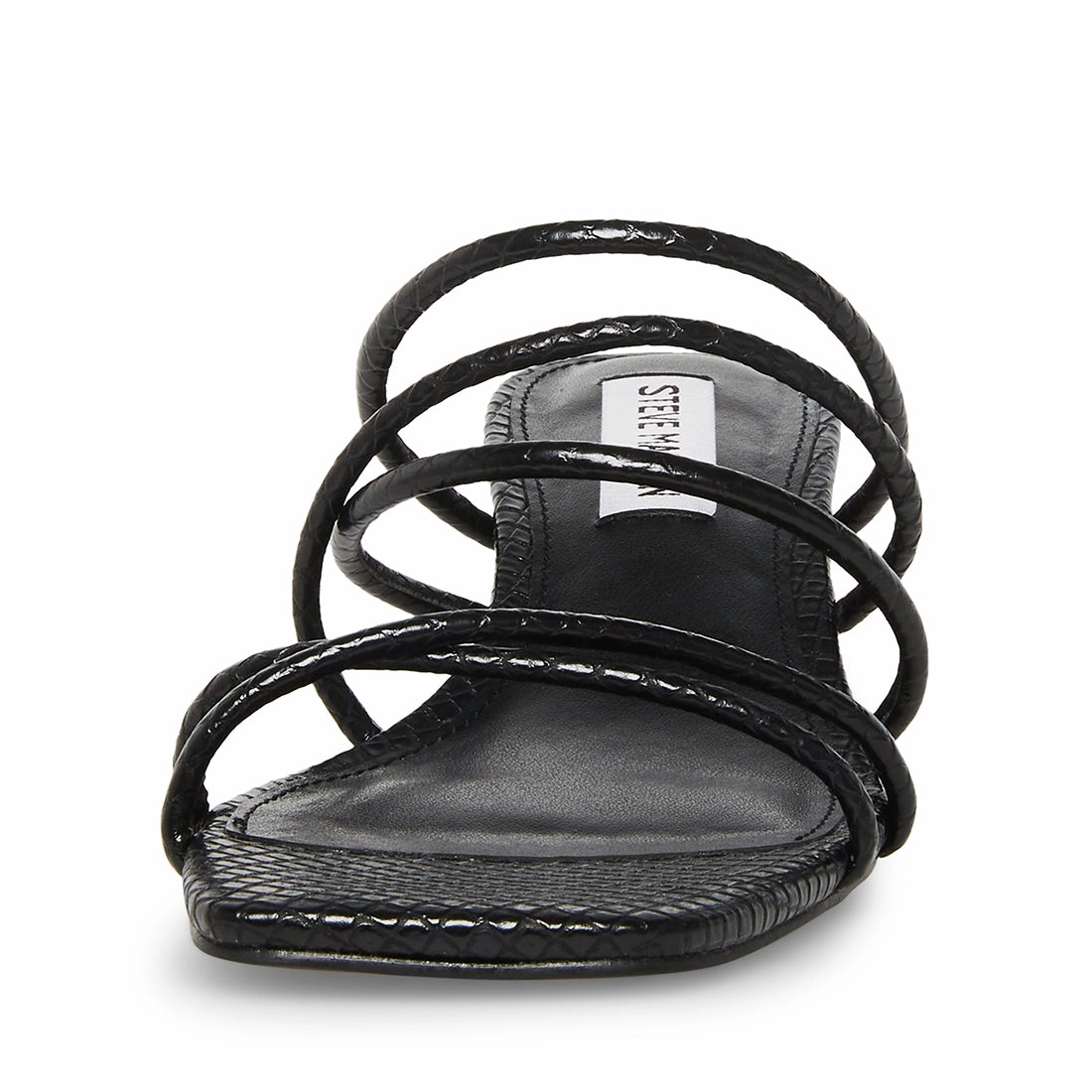 PAIGE BLACK SNAKE - SM REBOOTED